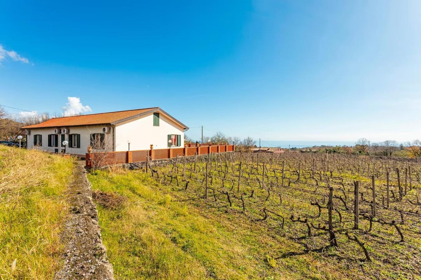 Camia Etna House Lejlighed Piedimonte Etneo Eksteriør billede